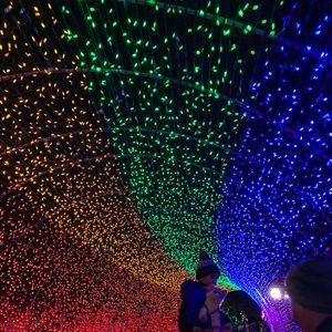 Meet your Posher, Alexa